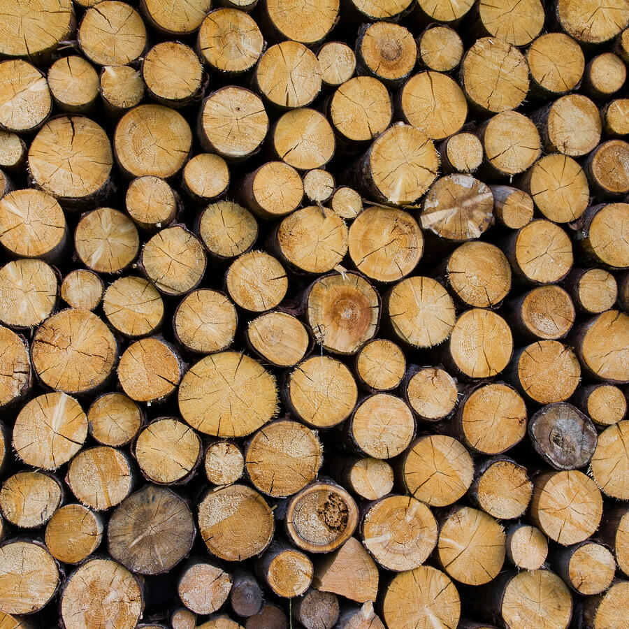 Pile of carefully stacked wood logs