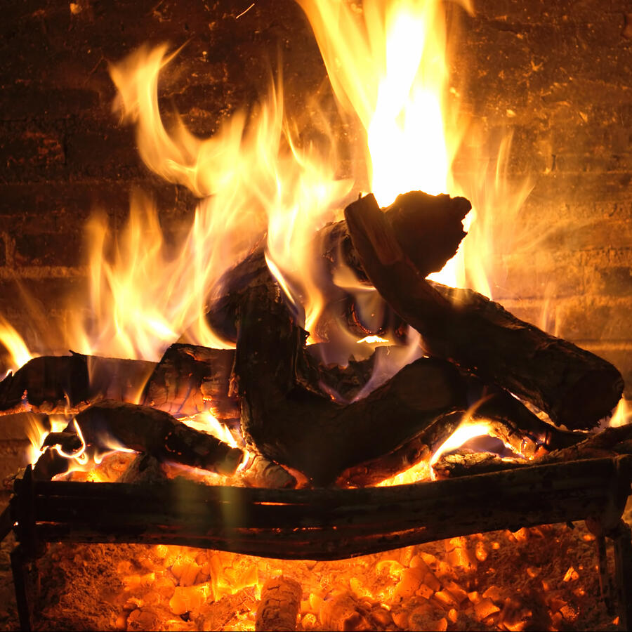 A blazing open fire with wood logs