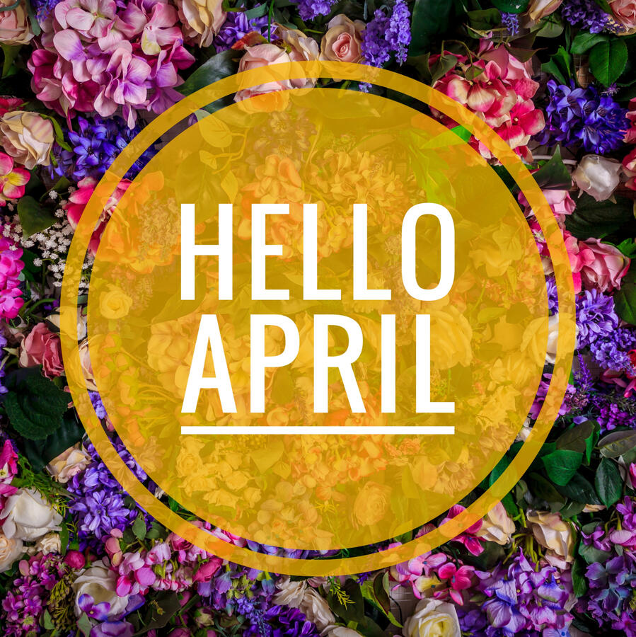 Hello Winter text on black background surrounded by snow